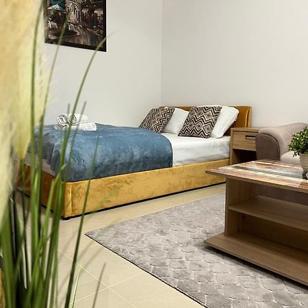Ndl Downtown Apartment Cluj-Napoca Ngoại thất bức ảnh