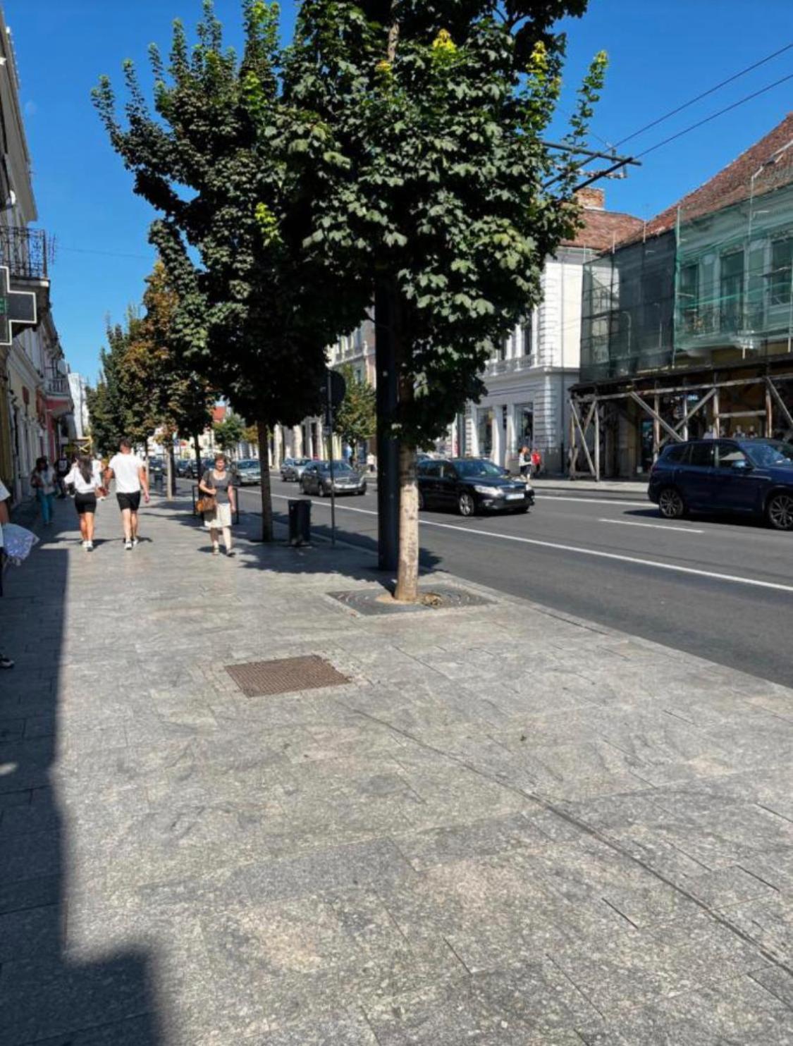 Ndl Downtown Apartment Cluj-Napoca Ngoại thất bức ảnh